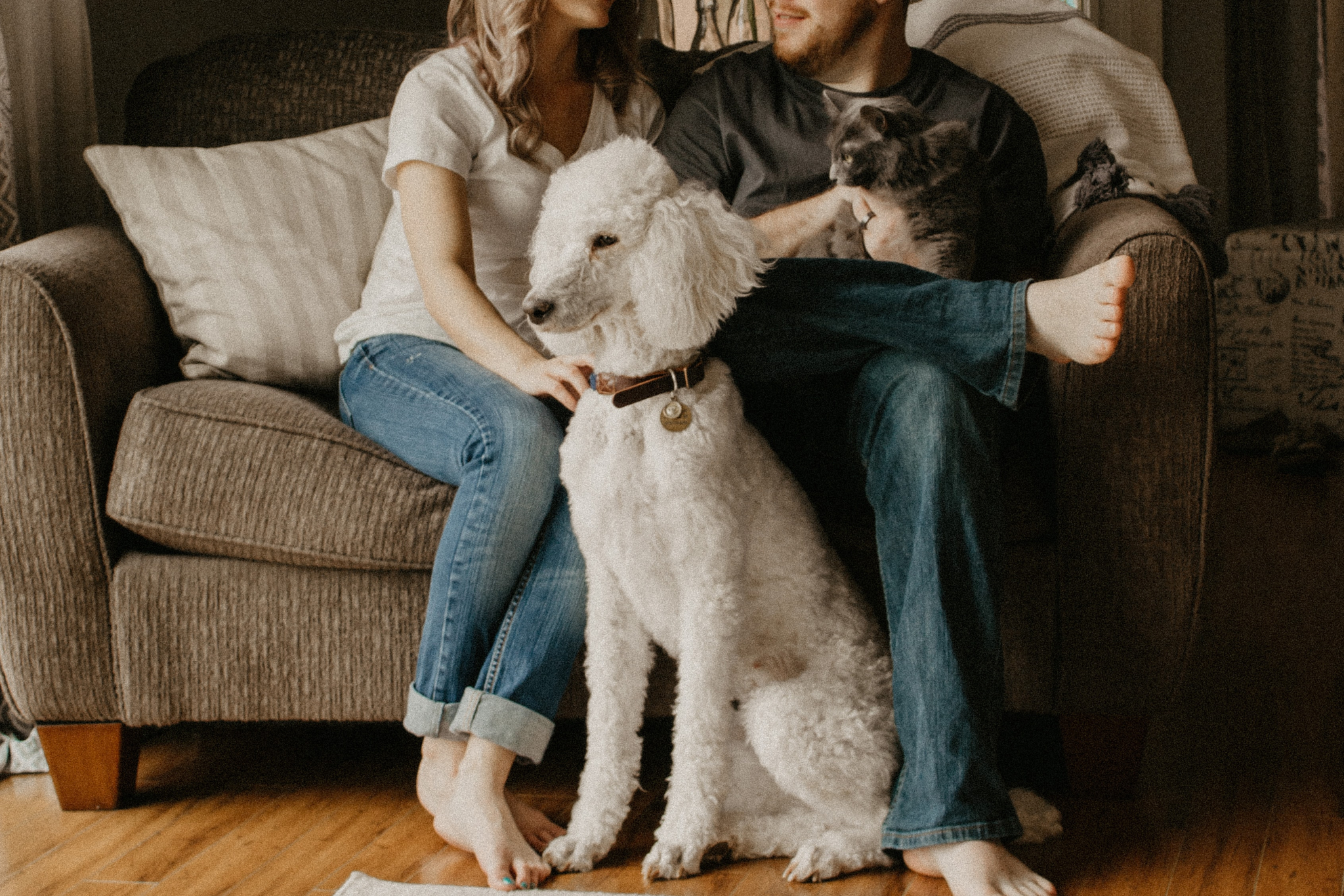 Pros and Cons of Renting to Pet Owners - Padleads